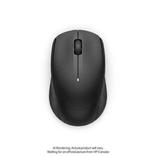 HP 250 Dual Wireless Mouse Canada - French Bilingual