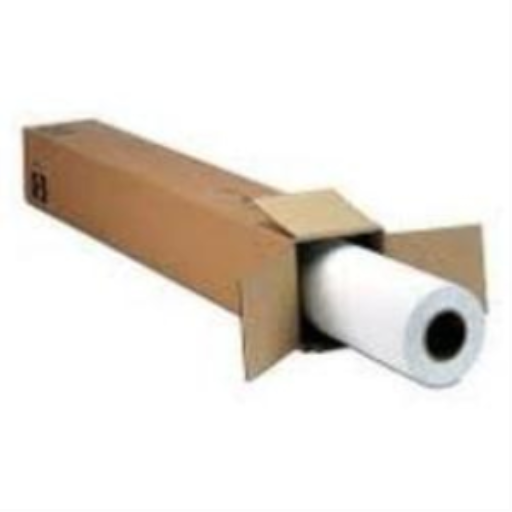 Film transparent Epson, rouleau de 43,2 cm x 30,5 mS045151