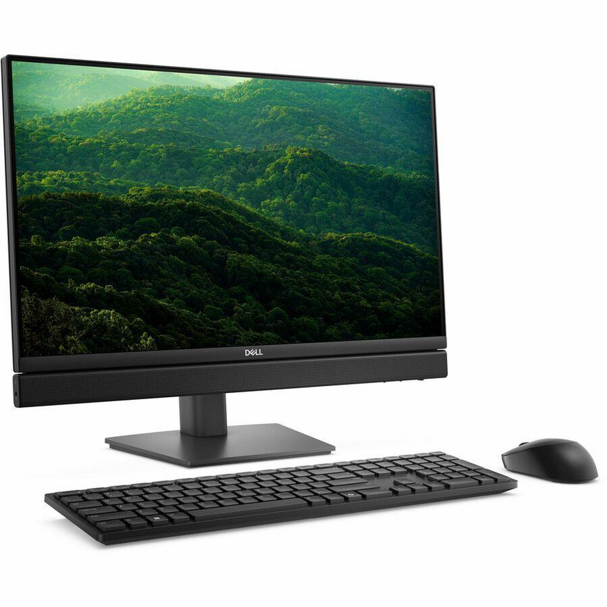 Dell All-in-One Desktop PC PRO QC24251